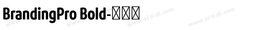 BrandingPro Bold字体转换